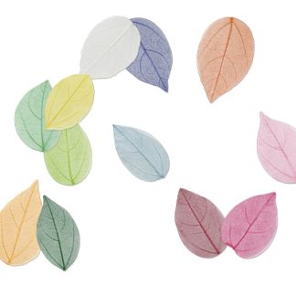 Net-leaves e Foglie d'oro